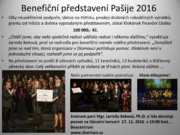 Prezentace PDF  info Klokánek-13.png